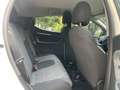 Lancia Ypsilon 1.0 FireFly 5 porte S&S Hybrid Silver Bianco - thumbnail 13
