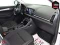 Skoda Karoq 2.0TDI AdBlue Ambition 4x4 DSG 110kW Blanco - thumbnail 35