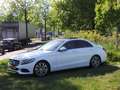 Mercedes-Benz C 350 e Lease Edition ( INRUIL MOGELIJK ) Weiß - thumbnail 8