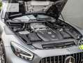 Mercedes-Benz AMG GT AMG GT R PRO *1 OF 750*MB100*CARBON*BURM.HIGH-END* Grau - thumbnail 14