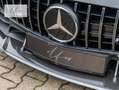 Mercedes-Benz AMG GT AMG GT R PRO *1 OF 750*MB100*CARBON*BURM.HIGH-END* Grau - thumbnail 7