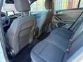 Ford Focus Focus 1.5 EcoBlue 120 CV SW ST-Line X Bianco - thumbnail 11