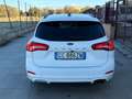 Ford Focus Focus 1.5 EcoBlue 120 CV SW ST-Line X Bianco - thumbnail 8
