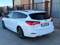 Ford Focus Focus 1.5 EcoBlue 120 CV SW ST-Line X Bianco - thumbnail 5