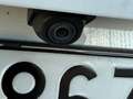 Ford Focus Focus 1.5 EcoBlue 120 CV SW ST-Line X Bianco - thumbnail 12
