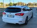 Ford Focus Focus 1.5 EcoBlue 120 CV SW ST-Line X Bianco - thumbnail 6