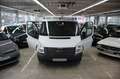Ford Transit Kasten FT 260 K City Light AHK Weiß - thumbnail 8