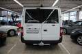 Ford Transit Kasten FT 260 K City Light AHK Weiß - thumbnail 6