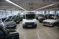 Ford Transit Kasten FT 260 K City Light AHK Weiß - thumbnail 1
