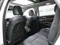 Kia Sorento 1.6 TGDi HEV Plus Edition 4x2 7pl Blanco - thumbnail 31