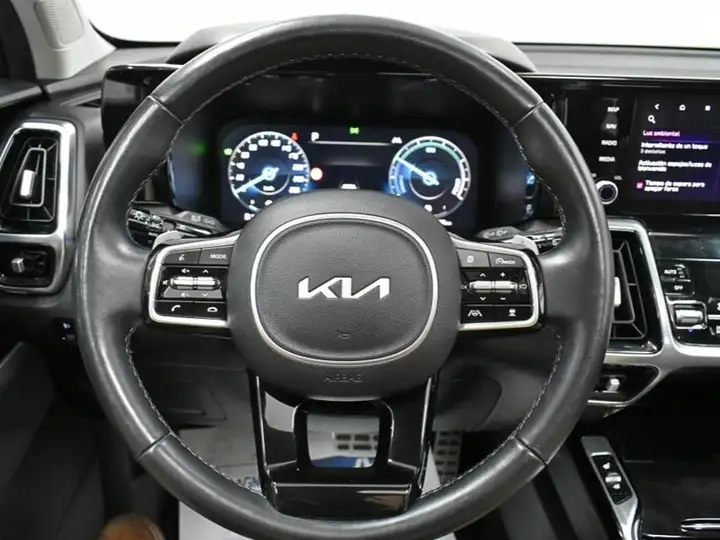Kia Sorento 2024, foto 16