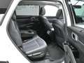 Kia Sorento 1.6 TGDi HEV Plus Edition 4x2 7pl Blanco - thumbnail 40
