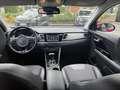Kia Niro GDi HEV 6DCT Fusion Rosso - thumbnail 23
