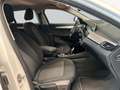 BMW X2 sDrive20i Aut. Advantage Weiß - thumbnail 14