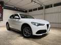 Alfa Romeo Stelvio Stelvio 2020 2.2 t Business rwd 160cv auto Blanc - thumbnail 3