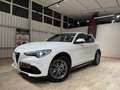 Alfa Romeo Stelvio Stelvio 2020 2.2 t Business rwd 160cv auto Blanc - thumbnail 1