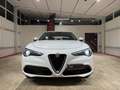 Alfa Romeo Stelvio Stelvio 2020 2.2 t Business rwd 160cv auto Blanc - thumbnail 2