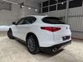 Alfa Romeo Stelvio Stelvio 2020 2.2 t Business rwd 160cv auto Blanc - thumbnail 6