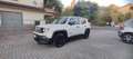 Jeep Renegade Renegade 1.6 e-torq evo Sport fwd 110cv Bianco - thumbnail 1