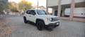 Jeep Renegade Renegade 1.6 e-torq evo Sport fwd 110cv Bianco - thumbnail 3