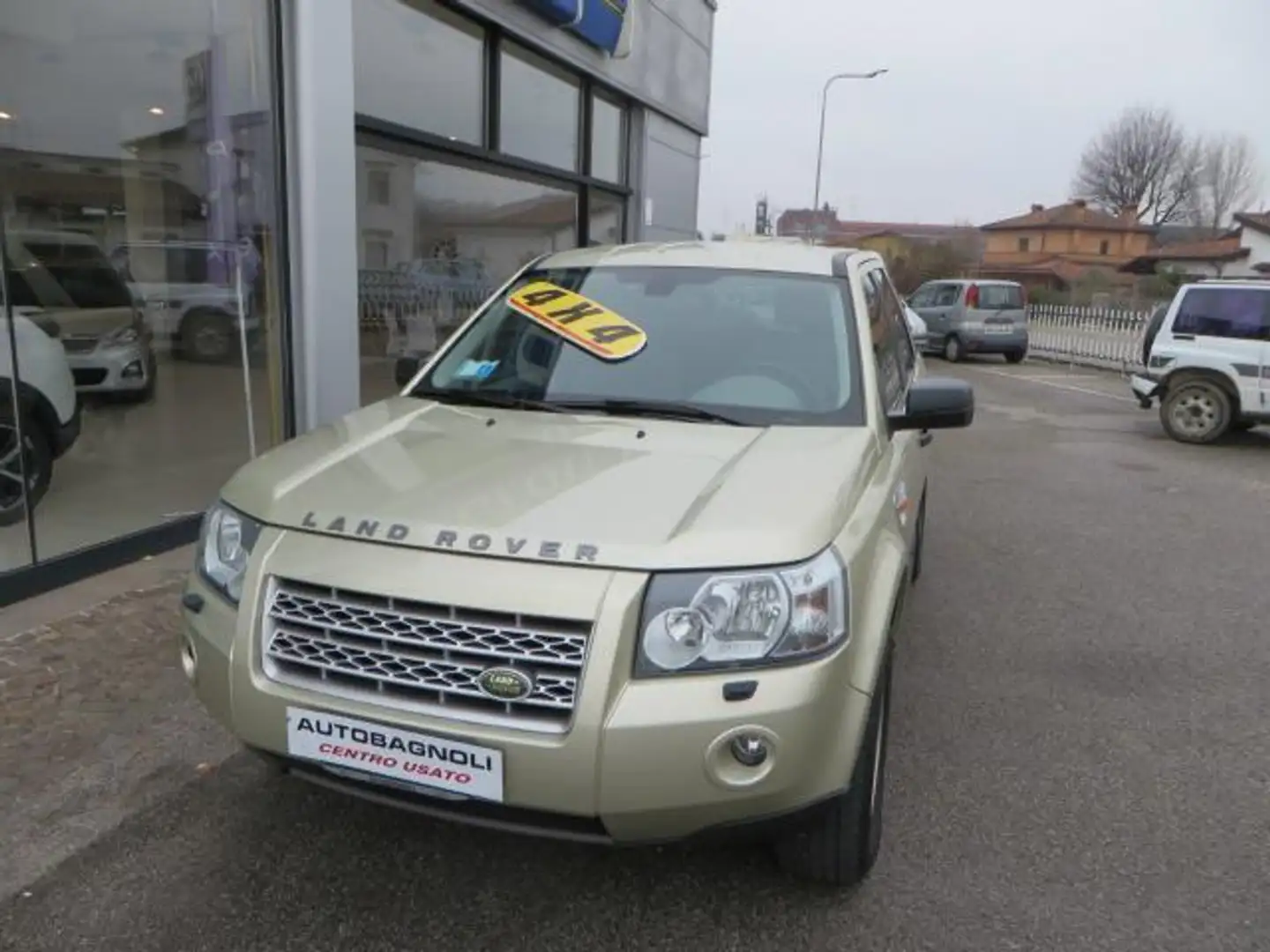 Land Rover Freelander S 2.2 TD4 160 CV S.W. 6mt Beige - 2