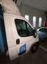 Fiat Ducato Bianco - thumbnail 3