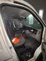 Fiat Ducato Bianco - thumbnail 6