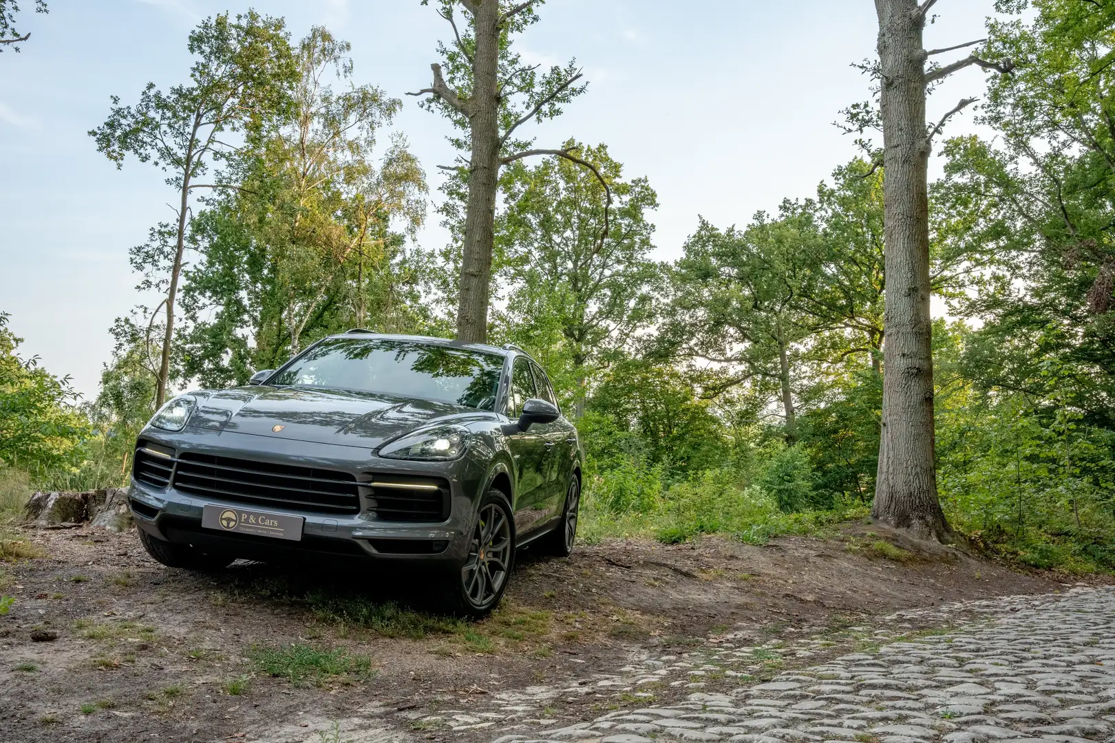 Porsche Cayenne 3.0i V6 PHEV Tiptronic S Gris - 2