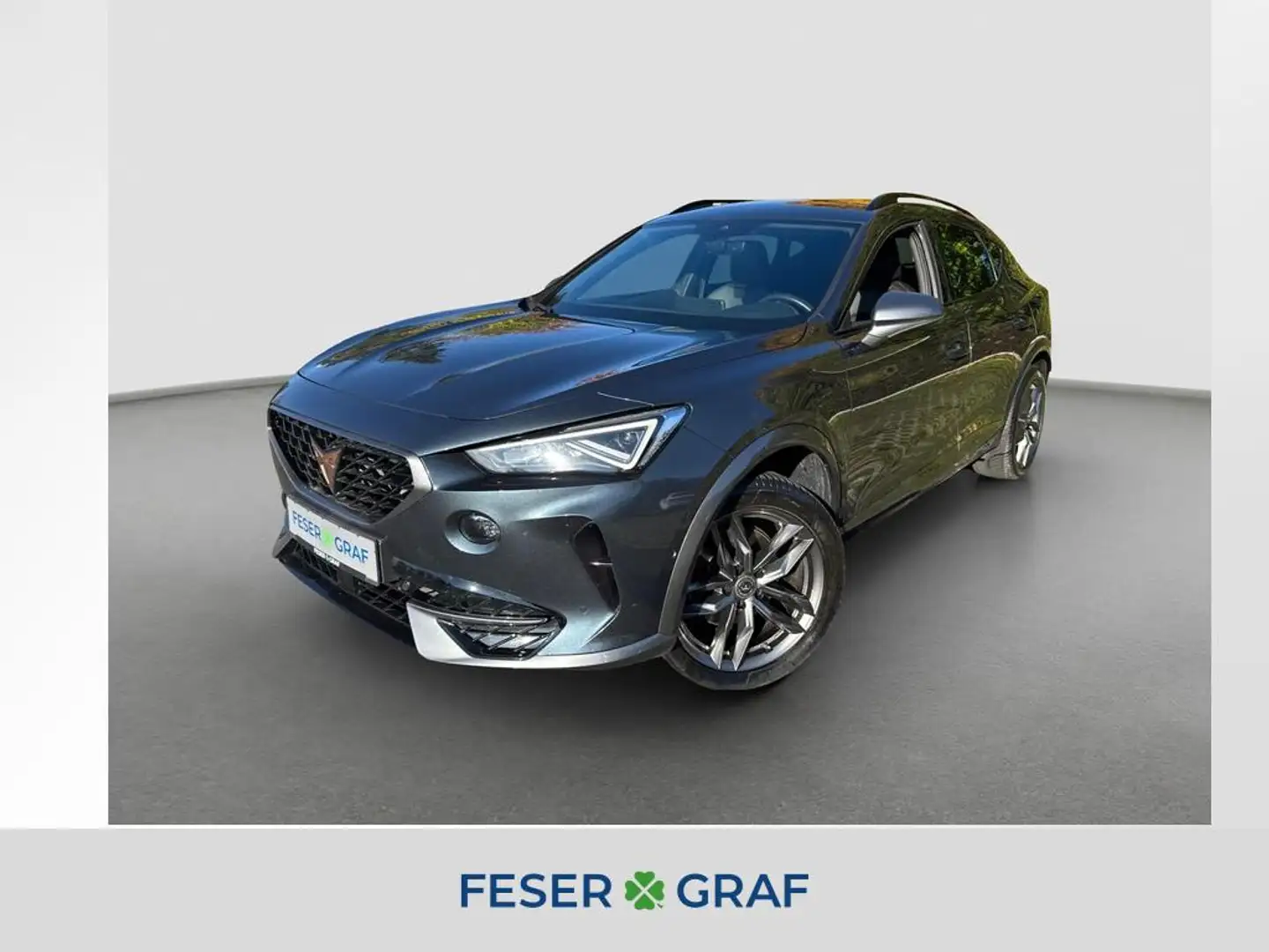 CUPRA Formentor TSI DSG ACC LED Navi VC BeatsAudio AHK Grau - 1
