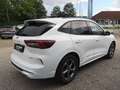 Ford Kuga 2,5 Duratec FHEV ST-Line X Allrad Aut. Weiß - thumbnail 5