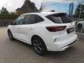 Ford Kuga 2,5 Duratec FHEV ST-Line X Allrad Aut. Weiß - thumbnail 7