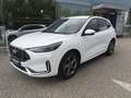 Ford Kuga 2,5 Duratec FHEV ST-Line X Allrad Aut. Weiß - thumbnail 1