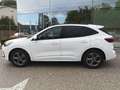 Ford Kuga 2,5 Duratec FHEV ST-Line X Allrad Aut. Weiß - thumbnail 8