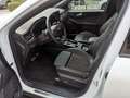 Ford Kuga 2,5 Duratec FHEV ST-Line X Allrad Aut. Weiß - thumbnail 9