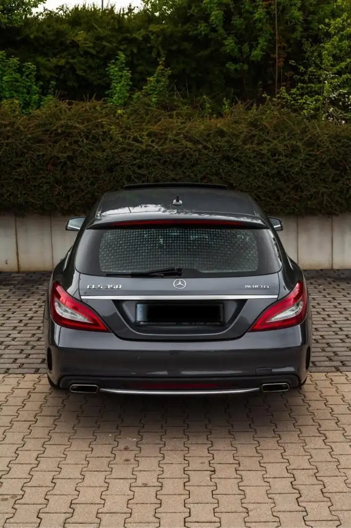 Mercedes-Benz CLS 350 CLS 350 BlueTec / d 4Matic (218.994) Grau - 2