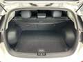 Kia Niro 1.6 GDi Hybrid DynamicPlusLine Navi|Cruise|Camera| Wit - thumbnail 13