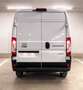 Fiat Ducato 35+ L4H2 BlueHDi 180 S&S EAT8 - 5 Jahre ... Weiß - thumbnail 7