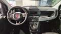 Fiat Panda 1.0 FireFly S&S Hybrid S9 PROMO KM0 PRONTA CONSEGN Blanc - thumbnail 5