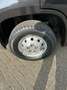 Fiat Ducato 2.3 Multijet XL-H2 Cruise, Cam, Dakrek, Trekhaak Zwart - thumbnail 2