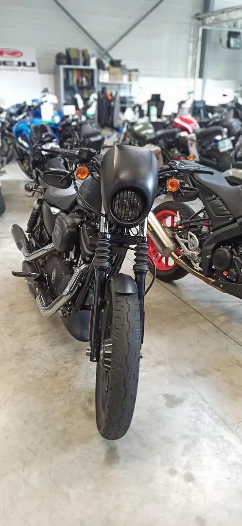 Harley-Davidson Sportster 883 Black - 1