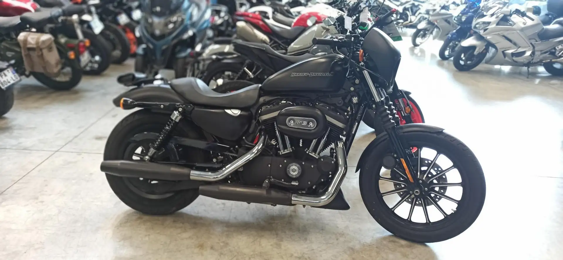 Harley-Davidson Sportster 883 Noir - 2