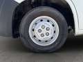 Citroen Jumper 2.2 HDI CELLA FRIGO Blanc - thumbnail 15
