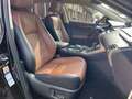 Lexus NX 300h Luxury NX 300h HEV Nero - thumbnail 11