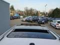 Volkswagen Tiguan 1.4 TSI Sport&Style 160pk panoramadak navigatie pd Wit - thumbnail 12