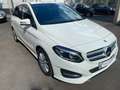 Mercedes-Benz B 200 d Style Aut7g/Navi/TW/Spur/LED/PDC+RFK/2H Weiß - thumbnail 3