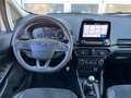 Ford EcoSport ST-Line DAB XENON Sitz/Lenkradheiz. Weiß - thumbnail 14