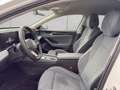 Volkswagen Passat Variant Business 2.0l TDI DSG ACC RFK AHK Weiß - thumbnail 10