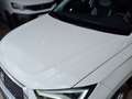 SEAT Ateca 2.0TDI CR S&S Reference 116 Blanco - thumbnail 18