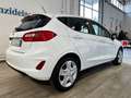 Ford Fiesta 1.1 75 CV 5 porte Connect Wit - thumbnail 6