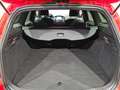 Ford Focus 1.0 EcoB ST-Line*NAVI*TEMPOMAT*SITZHZG* Rot - thumbnail 8
